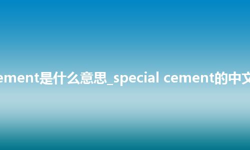 special cement是什么意思_special cement的中文意思_用法