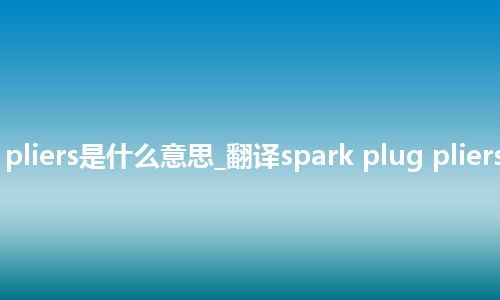 spark plug pliers是什么意思_翻译spark plug pliers的意思_用法