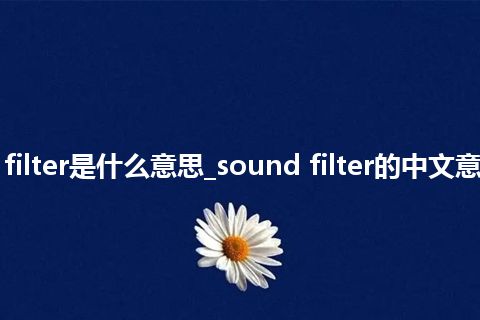 sound filter是什么意思_sound filter的中文意思_用法