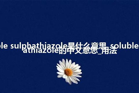 soluble sulphathiazole是什么意思_soluble sulphathiazole的中文意思_用法
