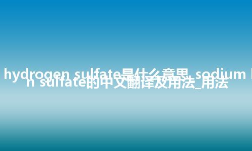 sodium hydrogen sulfate是什么意思_sodium hydrogen sulfate的中文翻译及用法_用法