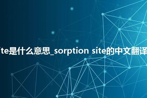 sorption site是什么意思_sorption site的中文翻译及音标_用法