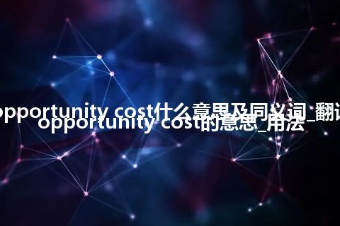 social opportunity cost什么意思及同义词_翻译social opportunity cost的意思_用法