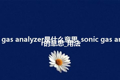 sonic gas analyzer是什么意思_sonic gas analyzer的意思_用法