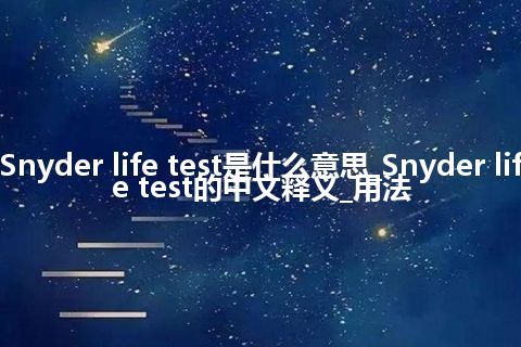 Snyder life test是什么意思_Snyder life test的中文释义_用法