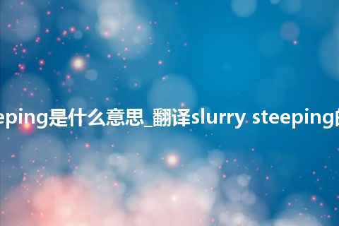 slurry steeping是什么意思_翻译slurry steeping的意思_用法