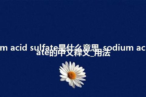 sodium acid sulfate是什么意思_sodium acid sulfate的中文释义_用法