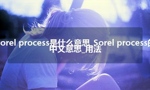 Sorel process是什么意思_Sorel process的中文意思_用法
