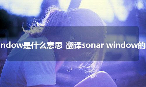sonar window是什么意思_翻译sonar window的意思_用法