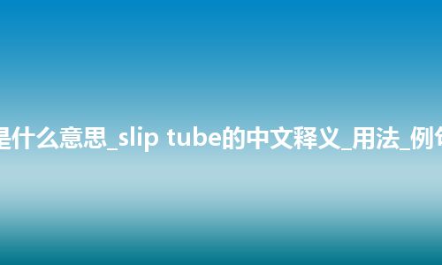 slip tube是什么意思_slip tube的中文释义_用法_例句_英语短语