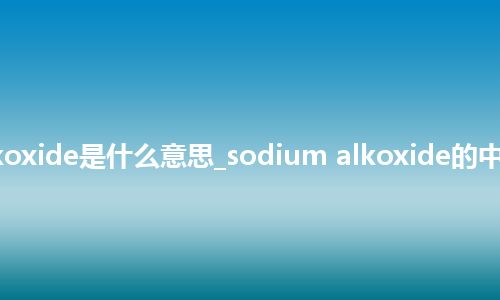 sodium alkoxide是什么意思_sodium alkoxide的中文意思_用法