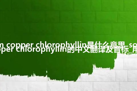 sodium copper chlorophyllin是什么意思_sodium copper chlorophyllin的中文翻译及音标_用法