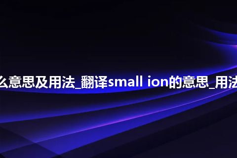 small ion是什么意思及用法_翻译small ion的意思_用法_例句_英语短语
