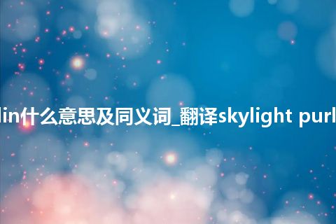skylight purlin什么意思及同义词_翻译skylight purlin的意思_用法