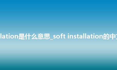 soft installation是什么意思_soft installation的中文意思_用法