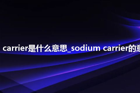 sodium carrier是什么意思_sodium carrier的意思_用法