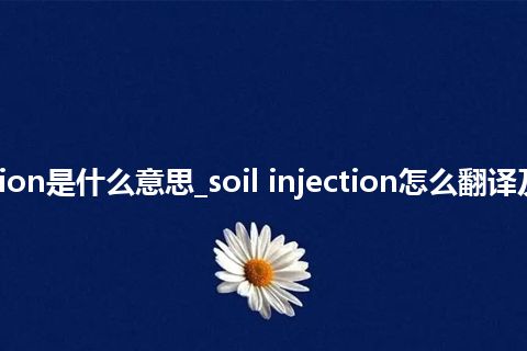 soil injection是什么意思_soil injection怎么翻译及发音_用法