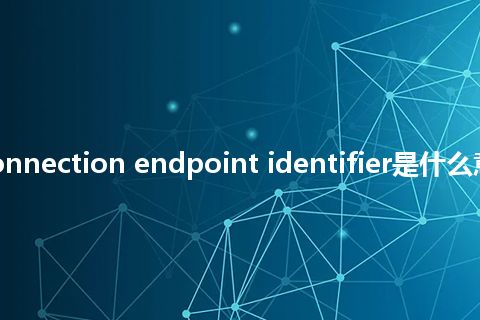 transport connection endpoint identifier是什么意思_中文意思