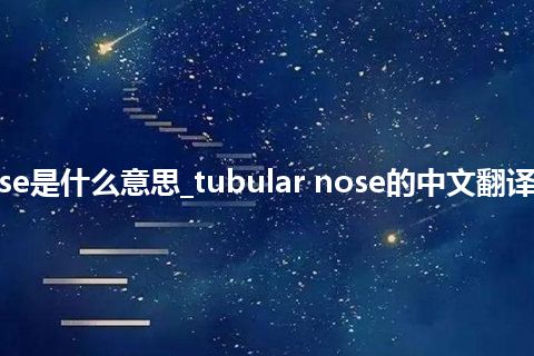 tubular nose是什么意思_tubular nose的中文翻译及用法_用法