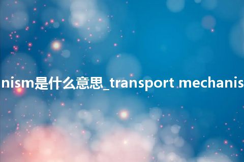 transport mechanism是什么意思_transport mechanism的中文释义_用法