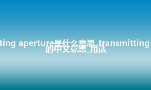 transmitting aperture是什么意思_transmitting aperture的中文意思_用法