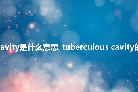 tuberculous cavity是什么意思_tuberculous cavity的中文释义_用法