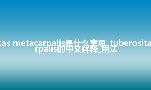 tuberositas metacarpalis是什么意思_tuberositas metacarpalis的中文解释_用法