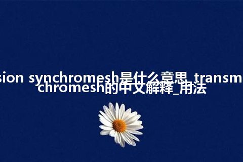 transmission synchromesh是什么意思_transmission synchromesh的中文解释_用法