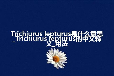 Trichiurus lepturus是什么意思_Trichiurus lepturus的中文释义_用法