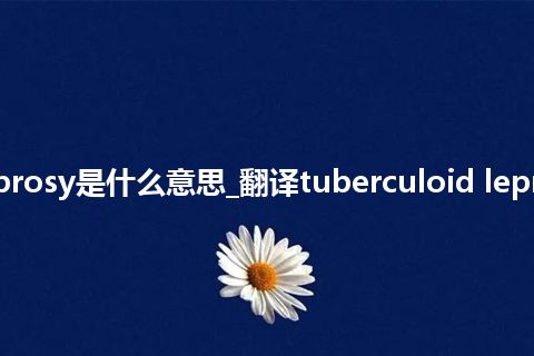 tuberculoid leprosy是什么意思_翻译tuberculoid leprosy的意思_用法