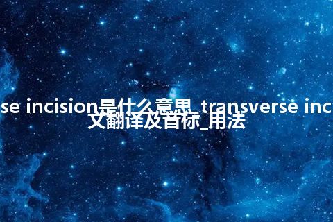 transverse incision是什么意思_transverse incision的中文翻译及音标_用法
