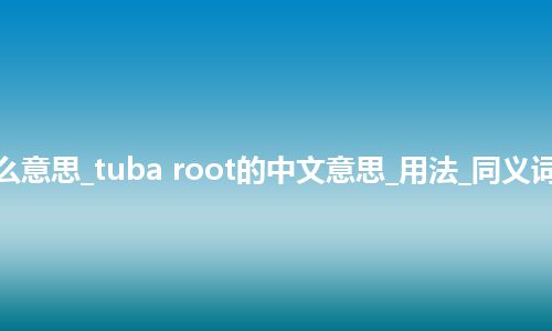 tuba root是什么意思_tuba root的中文意思_用法_同义词_例句_英语短语
