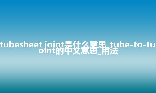 tube-to-tubesheet joint是什么意思_tube-to-tubesheet joint的中文意思_用法