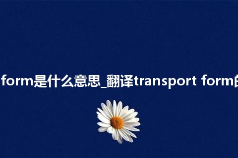transport form是什么意思_翻译transport form的意思_用法