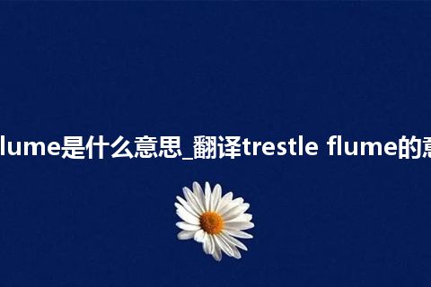 trestle flume是什么意思_翻译trestle flume的意思_用法