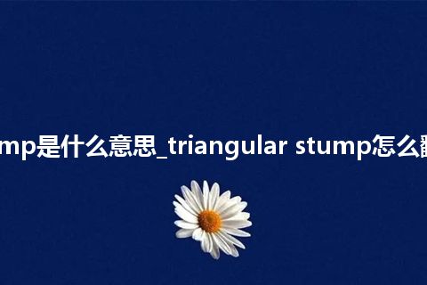 triangular stump是什么意思_triangular stump怎么翻译及发音_用法