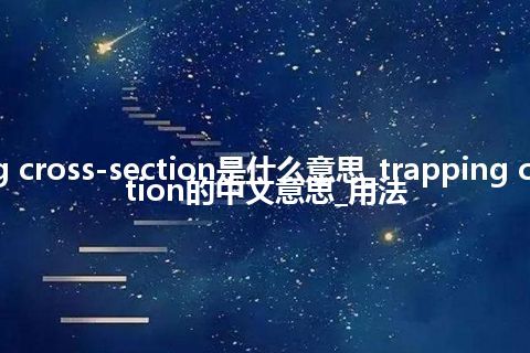 trapping cross-section是什么意思_trapping cross-section的中文意思_用法