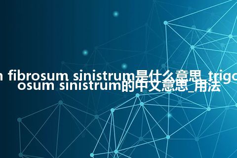 trigonum fibrosum sinistrum是什么意思_trigonum fibrosum sinistrum的中文意思_用法