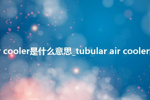 tubular air cooler是什么意思_tubular air cooler的意思_用法