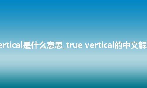 true vertical是什么意思_true vertical的中文解释_用法
