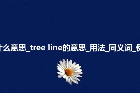 tree line是什么意思_tree line的意思_用法_同义词_例句_英语短语