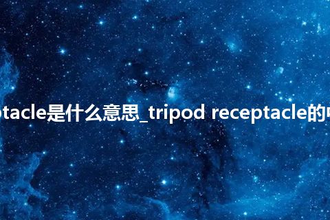 tripod receptacle是什么意思_tripod receptacle的中文意思_用法