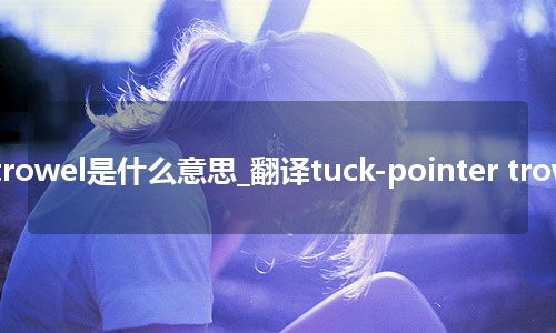 tuck-pointer trowel是什么意思_翻译tuck-pointer trowel的意思_用法