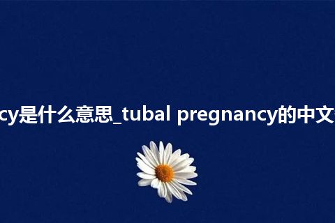 tubal pregnancy是什么意思_tubal pregnancy的中文翻译及音标_用法