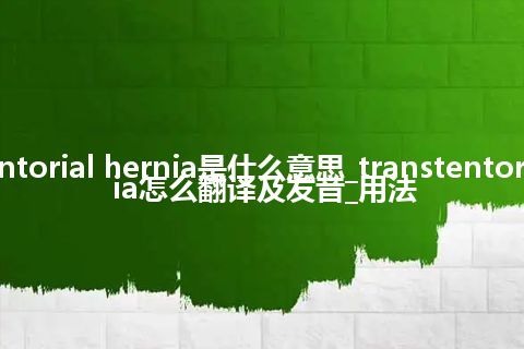 transtentorial hernia是什么意思_transtentorial hernia怎么翻译及发音_用法
