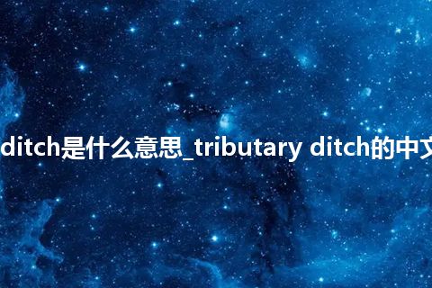 tributary ditch是什么意思_tributary ditch的中文意思_用法