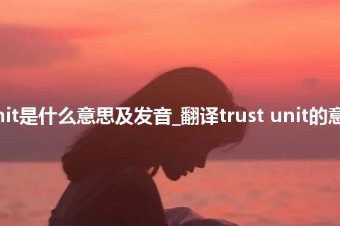 trust unit是什么意思及发音_翻译trust unit的意思_用法