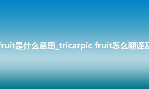 tricarpic fruit是什么意思_tricarpic fruit怎么翻译及发音_用法