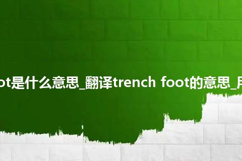 trench foot是什么意思_翻译trench foot的意思_用法_同义词