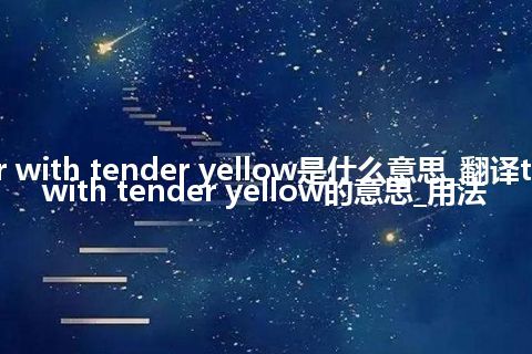 tricolour with tender yellow是什么意思_翻译tricolour with tender yellow的意思_用法